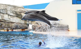 花蓮民宿入口網